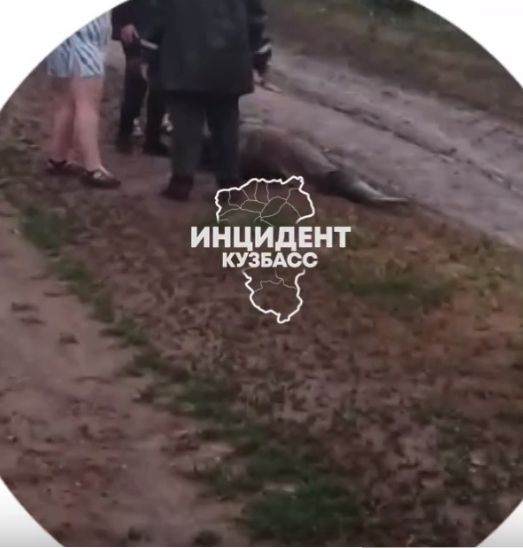 no_image