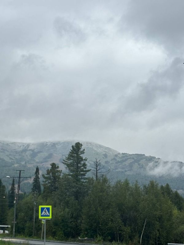 no_image