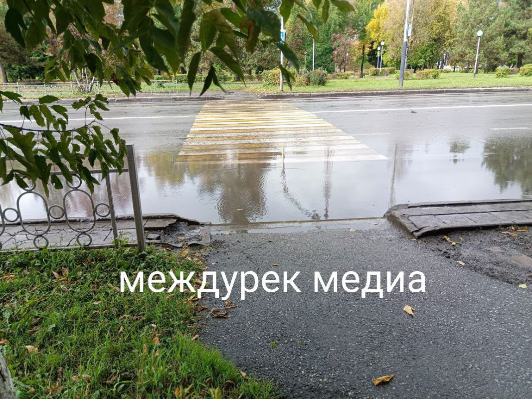 no_image