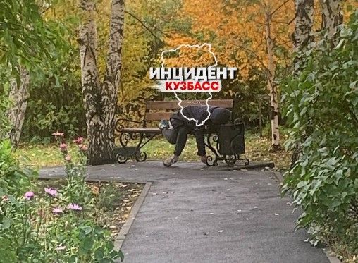 no_image