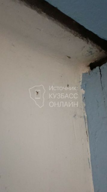 no_image
