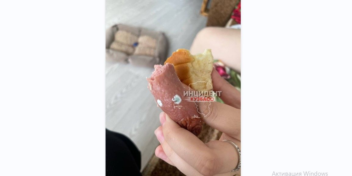 no_image