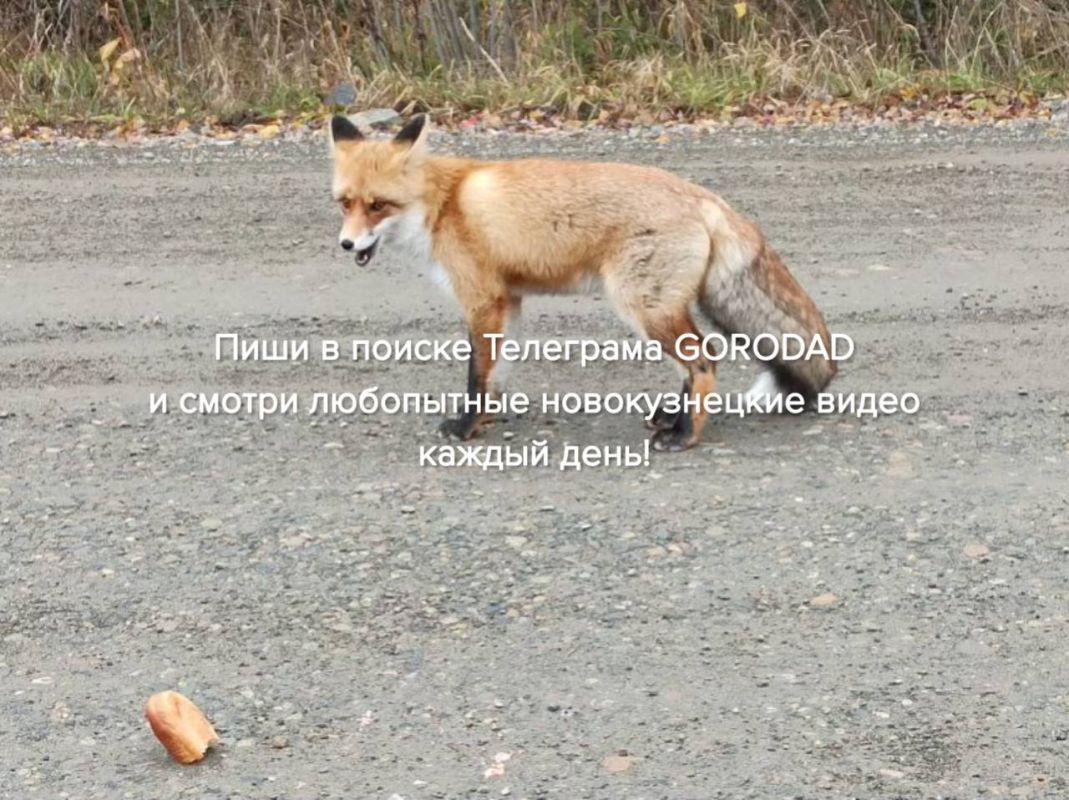 no_image