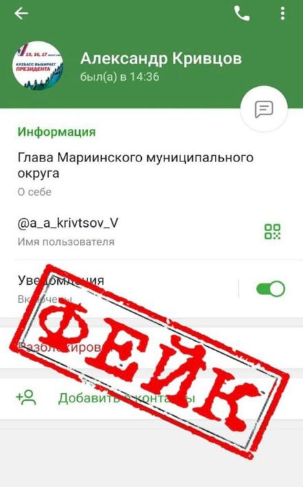no_image