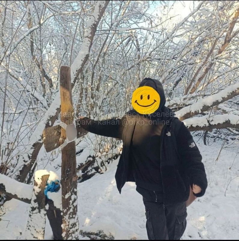 no_image